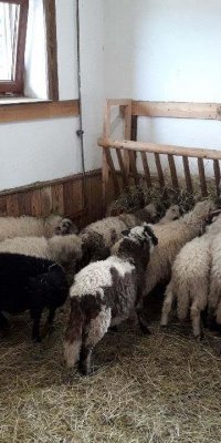 Dni z Panem Bogiem 2018